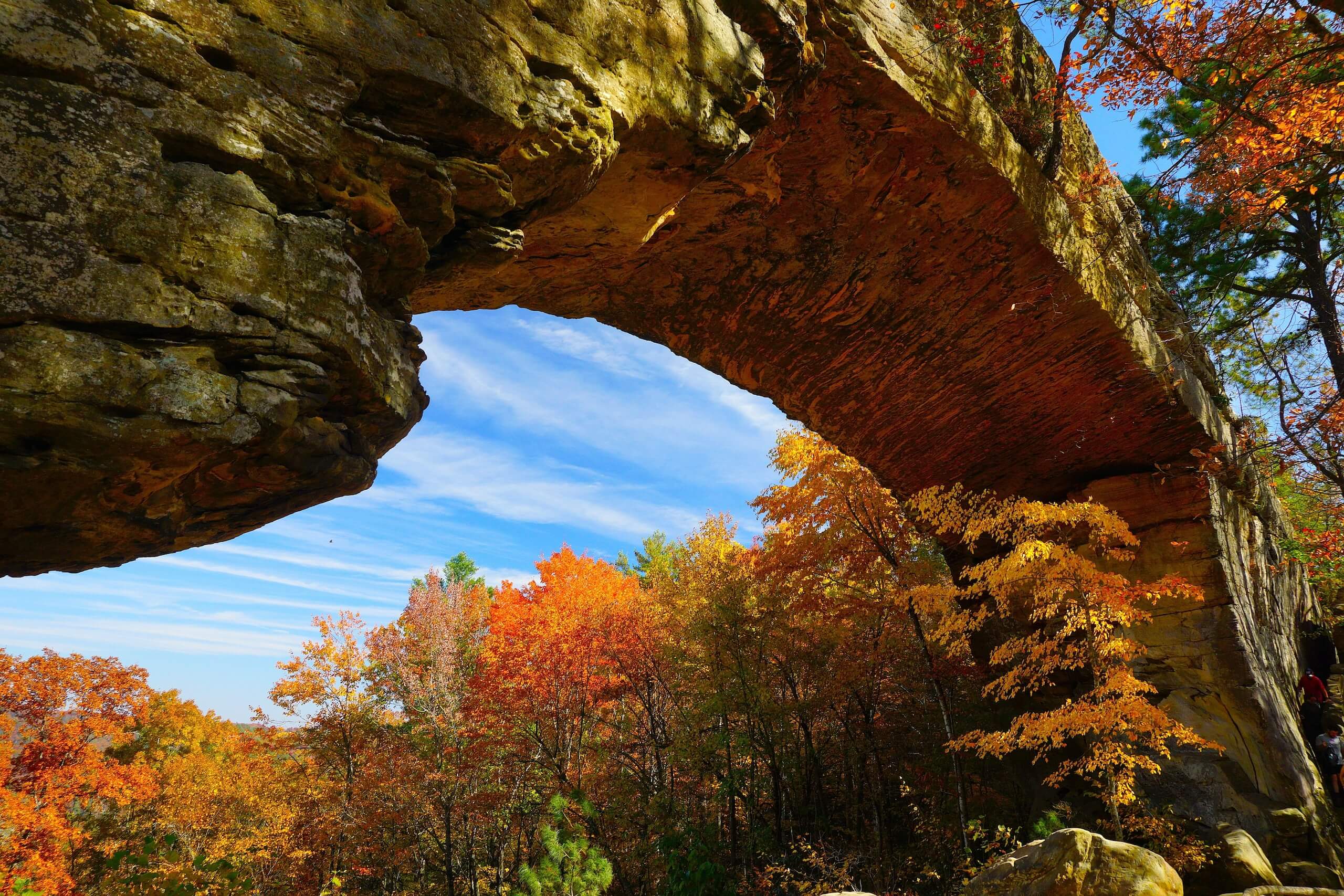 Red River Gorge landscape