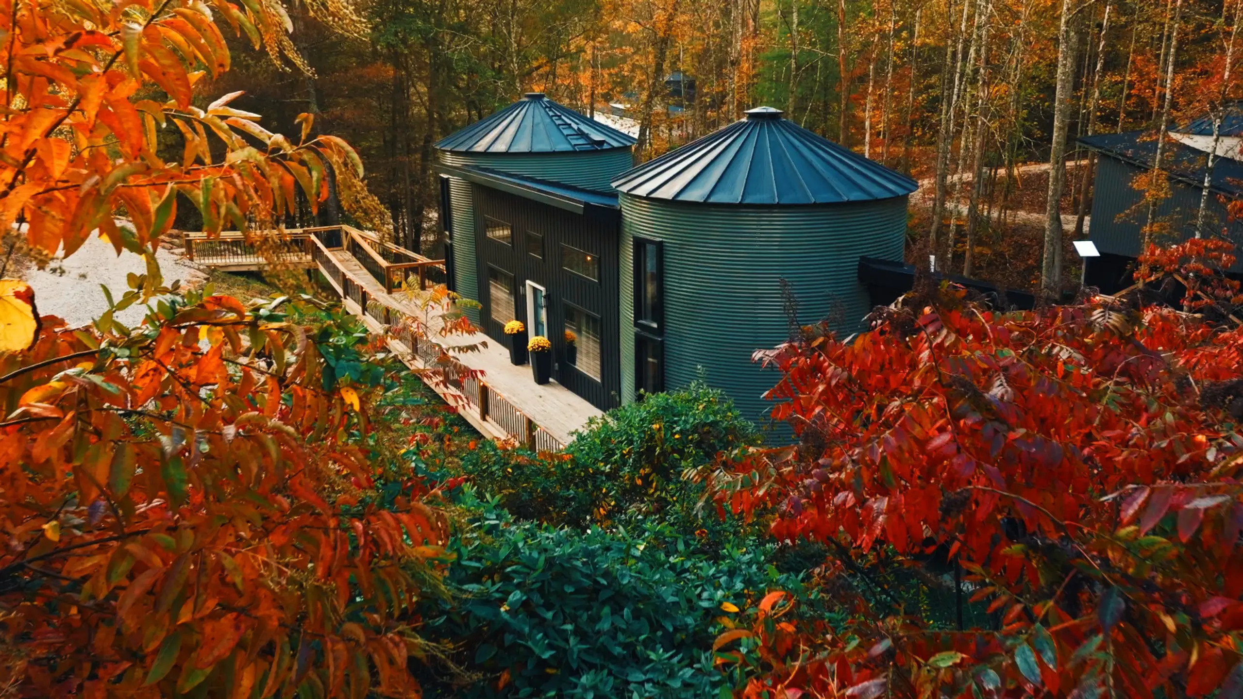 The Boone